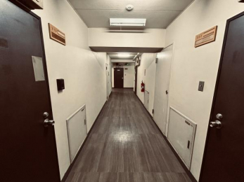 ���̑����p���@�������ȋ��p�L����