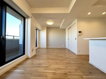 ���r���O�@���J�����̂��郊�r���O��