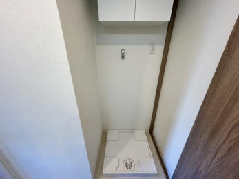 ���ʑ�E���ʏ��@���h���p����