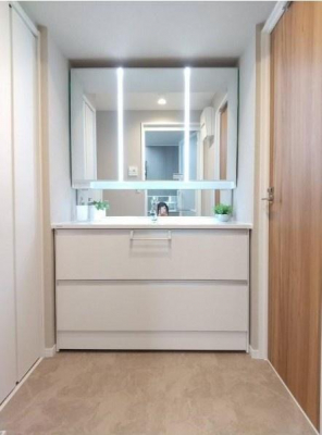 ���ʑ�E���ʏ��@-