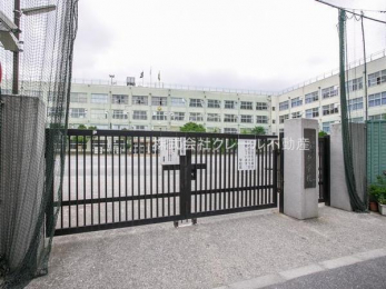 ���ӊ��@-