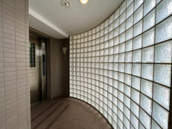 ���̑����p���@�������ȋ��p�L����