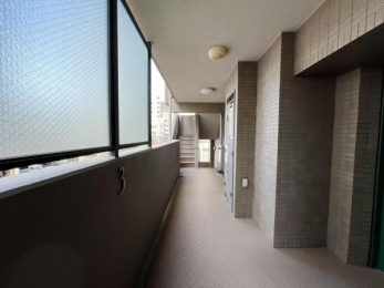 ���̑����p���@�������ȋ��p�L����