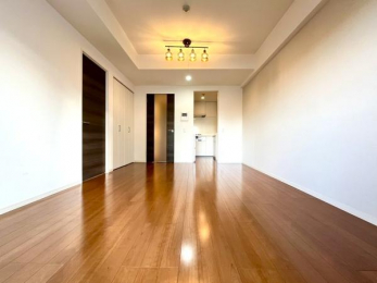 ���r���O�@���J�����̂��郊�r���O��