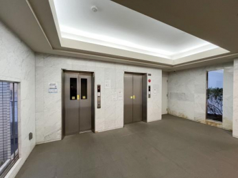 ���̑����p���@��������邢�L���E�G���x�[�^�[��������S