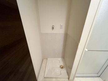 ���ʑ�E���ʏ��@���h���p����