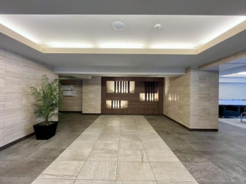 ���̑����p���@�������ȋ��p�L����