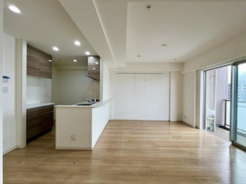 ���r���O�@���J�����̂��郊�r���O��