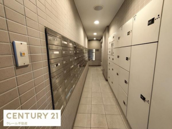 �G���g�����X�@-