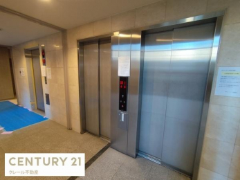 �G���g�����X�@-