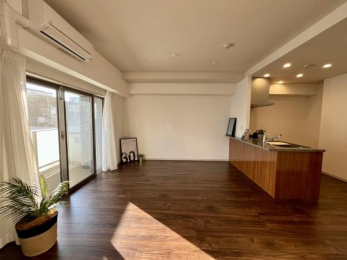 ���r���O�@���J�����̂��郊�r���O��