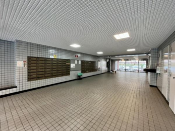 ���̑����p���@�������ȋ��p�L����