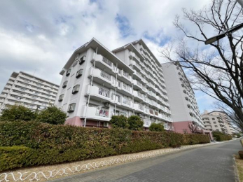 ���̑����n�@���O�ϑ��p�x��聙