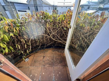 �o���R�j�[�@���o���R�j�[���J������