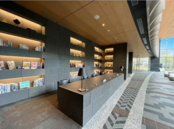 ���r�[�@�����p���r�[��