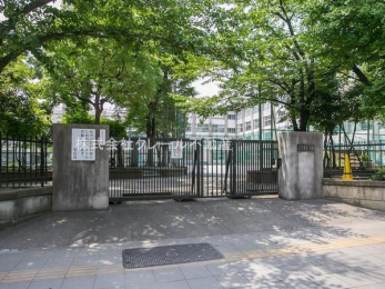 ���ӊ��@-