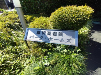 �G���g�����X�@-